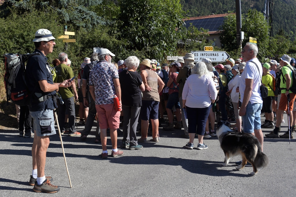 Group of hikers gathers on a sunny street; a man with a walking stick and backpack stands left, a dog in the foreground.