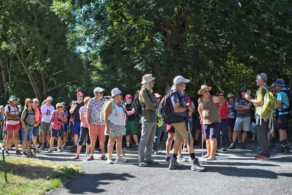 Large group of hikers gathered on a sunlit path, wearing backpacks and hats, listening to a guide in a forested park.